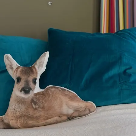 Artis Zoo Studio Homestay